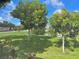 Beautiful, well-maintained yard with mature trees under a bright blue sky at 7912 Estates Dr, Sarasota, FL 34243