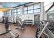 Community gym showcasing weightlifting equipment, machines, and abundant natural light at 8229 Grande Shores Dr, Sarasota, FL 34240