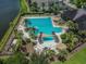 Aerial view of a community pool with a beach entry, lap lanes, lounge chairs, and lakeside views, creating a resort-like atmosphere at 11504 Splendid Ln, Tampa, FL 33626