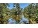 Scenic pond with a fountain surrounded by mature trees and natural landscaping at 3605 Quail Hollow Ln, Bradenton, FL 34210