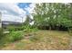 A spacious backyard with lush greenery and a glimpse of the pool enclosure in the background at 4415 Charing Cross Rd, Sarasota, FL 34241