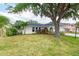 Single-story home with a lush green lawn and mature shade tree at 4415 Charing Cross Rd, Sarasota, FL 34241