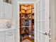 Walk-in pantry with custom shelving providing ample storage for kitchen essentials and culinary supplies at 521 Habitat Blvd, Osprey, FL 34229