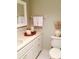 Bathroom featuring a vanity, mirror, and decorative accents at 7050 Fairway Bend Ln # 167, Sarasota, FL 34243