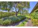 Scenic backyard with mature trees, manicured hedges, and lush landscaping at 7374 Royal Birkdale Dr # 15D, Sarasota, FL 34238