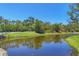A tranquil pond lined with lush greenery and trees at 7374 Royal Birkdale Dr # 15D, Sarasota, FL 34238