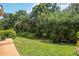 Lush backyard featuring mature trees and green grass offers privacy and tranquility at 9915 Old Hyde Park Pl, Bradenton, FL 34202