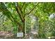 Inviting backyard pathway through lush tropical greenery featuring an arbor and a sign reading 'Adventure Awaits' at 9915 Old Hyde Park Pl, Bradenton, FL 34202