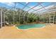 Inviting pool area surrounded by lush tropical plants, set within a screened enclosure for outdoor living at 9915 Old Hyde Park Pl, Bradenton, FL 34202