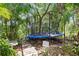 Backyard trampoline amid lush landscaping, accessible by a wooden pathway, perfect for outdoor activities at 9915 Old Hyde Park Pl, Bradenton, FL 34202