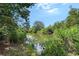 The serene pond is surrounded by lush greenery, creating a peaceful and natural setting at 12133 Forest Park Cir, Bradenton, FL 34211