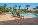 Relaxing poolside with comfortable lounge chairs, a small table, and inviting palm trees for a tranquil experience at 1313 Thornapple Dr, Osprey, FL 34229