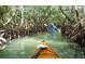 Kayaking through mangrove tunnels offers a unique perspective of the waterways and wildlife at 1750 Benjamin Franklin Dr # 6F, Sarasota, FL 34236