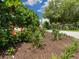 A patch of land with mulch and various plants at 2319 Webber St, Sarasota, FL 34239