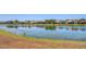 Scenic backyard view of homes bordering a tranquil lake, showcasing the community's serene atmosphere at 246 Petrel Trl, Bradenton, FL 34212