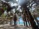 View through lush palm trees to the serene ocean waters, showcasing a tropical paradise at 1680 Lemon Bay Dr, Venice, FL 34293