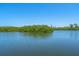 Expansive water view with lush foliage at 1680 Lemon Bay Dr, Venice, FL 34293