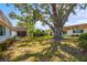 Spacious backyard featuring lush green lawn, mature tree providing shade, and rear views of the property at 2531 Riverbluff Pkwy # V181, Sarasota, FL 34231