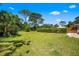 View of a spacious backyard with green grass and privacy hedges at 5603 Ravenwood Dr, Sarasota, FL 34243