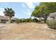 Expansive backyard featuring a large tree and minimal landscaping, providing a canvas for your creative vision at 624 Fort Duquesna Dr, Sun City Center, FL 33573