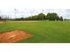 Community baseball field on a sunny day featuring lush green grass, home plate, and trees at 8603 River Preserve Dr, Bradenton, FL 34212