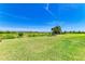 Beautiful grassy backyard with views of the surrounding landscaping and open green space at 1007 Waterline Ct, Sarasota, FL 34240