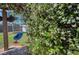 Backyard deck features a flowering vine-covered pergola and view of the swing and backyard at 1896 Mova St, Sarasota, FL 34231