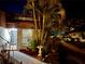 Inviting townhome exterior with lush landscaping, mature palm trees, and a well-lit walkway to the front door at 2058 Sunset Point Rd # 11, Clearwater, FL 33765