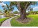 Mature tree with lake view and walking path leading to the bridge at 3130 Ringwood Mdw # 44, Sarasota, FL 34235