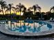Community pool surrounded by palms reflecting a vivid sunset with ample seating for residents' relaxation at 3130 Ringwood Mdw # 44, Sarasota, FL 34235