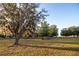 Tranquil front lawn featuring a majestic oak tree with spanish moss and fenced paddock area at 3717 Downer Ave, Sarasota, FL 34240