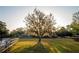 Picturesque front lawn featuring a mature shade tree, lush grass and split rail fence under a gorgeous sunrise at 3717 Downer Ave, Sarasota, FL 34240