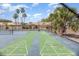 Community shuffleboard courts include surrounding fences, palm trees, and blue and green courts at 3781 59Th W Ave # 3781, Bradenton, FL 34210