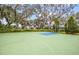 Community basketball court with lush landscaping, shade trees, and dark fencing at 4815 Deep Creek Ter, Parrish, FL 34219