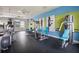 Well-equipped fitness center featuring modern exercise machines, weights, and ample space for a complete workout at 4815 Deep Creek Ter, Parrish, FL 34219