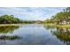Scenic view of the community pond, surrounded by trees and greenery at 4912 Sabal Lake Cir, Sarasota, FL 34238