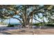 Picturesque view of an outdoor seating area with a large tree and lake backdrop at 532 Yale Rd, Venice, FL 34293