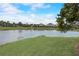 A pond with lush green grass and trees in the background at 6001 Anise Dr, Sarasota, FL 34238