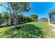 Lush backyard with vibrant green grass, mature tree, and a pristine privacy fence at 7420 Tuttle Ave, Sarasota, FL 34243
