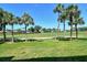 Serene backyard view with palm trees, manicured lawn, and golf course, perfect for relaxation at 9470 High Gate Dr # 2213, Sarasota, FL 34238