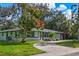 Charming single-story home with a circular driveway and mature landscaping, enhanced by a colorful flowering tree at 1773 South Dr, Sarasota, FL 34239