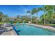 Sparkling in-ground pool surrounded by lush landscaping, providing a private and serene outdoor retreat at 244 Cedar Park Cir, Sarasota, FL 34242