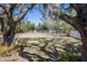 Large backyard with well-maintained lawn and mature trees providing ample shade, with seating for outdoor relaxation at 2723 59Th St, Sarasota, FL 34243