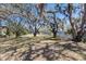 Expansive backyard featuring mature trees with Spanish moss and lush greenery, offering privacy and shade at 2723 59Th St, Sarasota, FL 34243