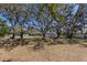 View of the open backyard area, shaded by mossy trees, features a privacy fence bordering the yard at 2723 59Th St, Sarasota, FL 34243