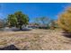 Large backyard with lush trees and foliage surrounding the property and white privacy fence at 2723 59Th St, Sarasota, FL 34243