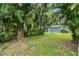 Expansive backyard with tropical landscaping and partial view of the blue home at 3608 Water St, Ellenton, FL 34222