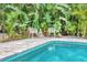 Beautiful pool area surrounded by lush greenery and unique statues, providing a tranquil and serene outdoor escape at 6343 Hollywood Blvd, Sarasota, FL 34231