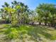 Landscaped backyard with lush green grass, assorted palm trees, and leafy trees offering lots of privacy at 734 Canal Rd, Sarasota, FL 34242