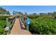 Private boardwalk through lush greenery leading to the Resort Beach & Tennis Club at 750 Bayport Way # 750, Longboat Key, FL 34228